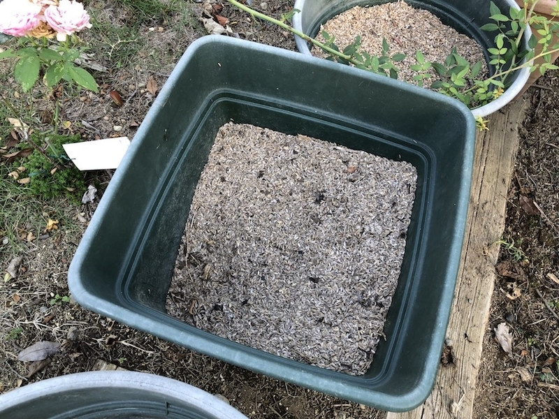 f:id:sk6960:20211011085603j:plain