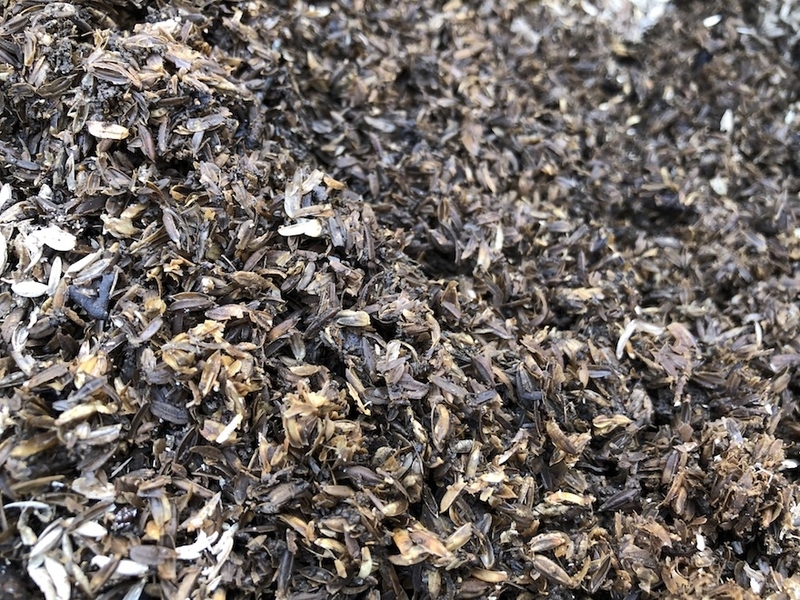 f:id:sk6960:20211011085606j:plain