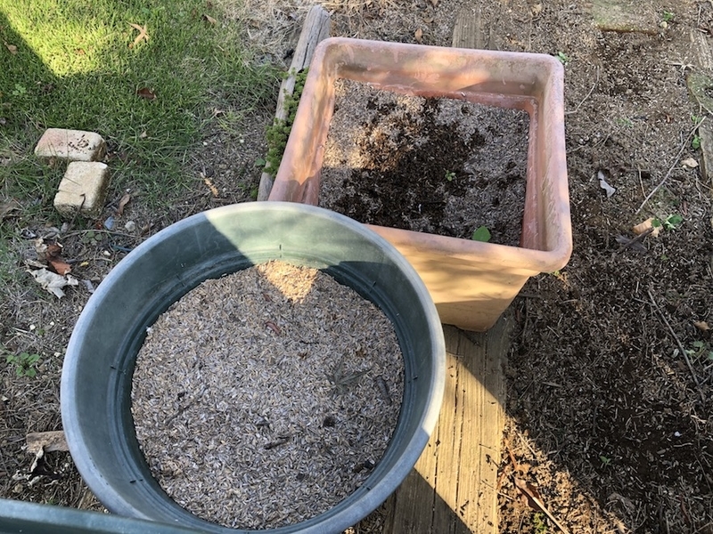 f:id:sk6960:20211011085610j:plain