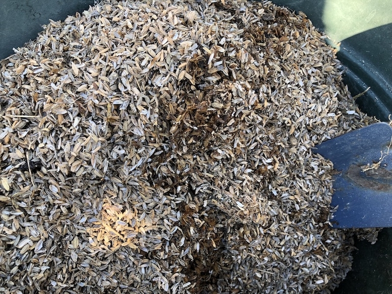 f:id:sk6960:20211011085613j:plain