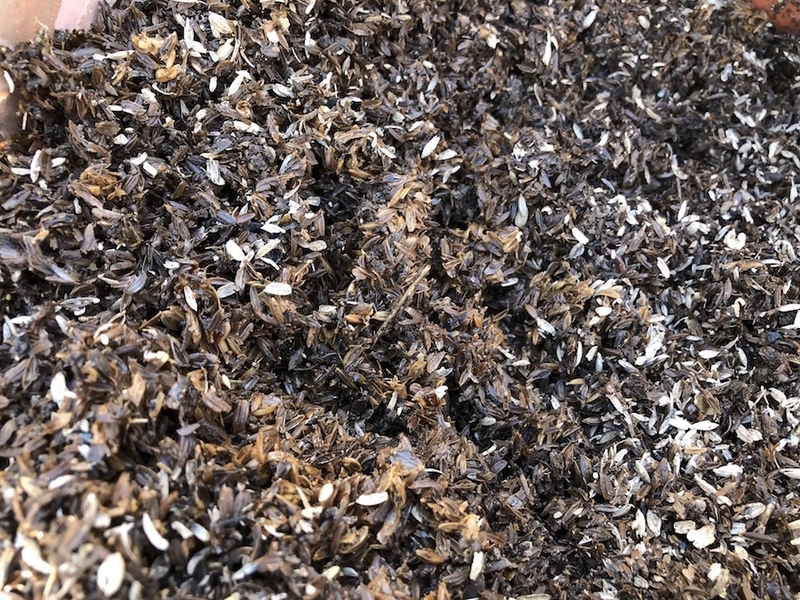 f:id:sk6960:20211011085617j:plain