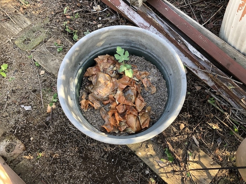 f:id:sk6960:20211011085620j:plain