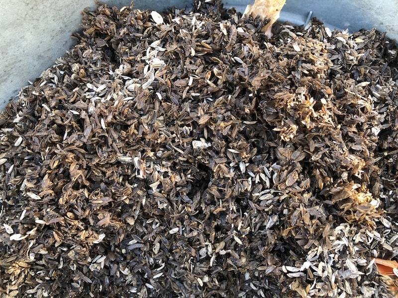 f:id:sk6960:20211011085624j:plain