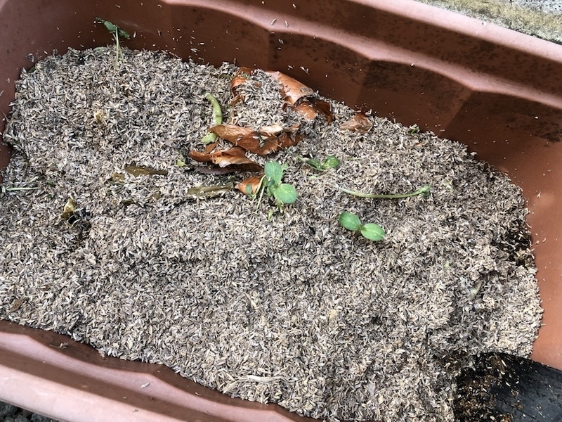 f:id:sk6960:20211011085634j:plain