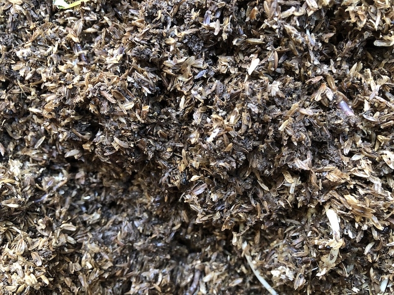 f:id:sk6960:20211011085637j:plain