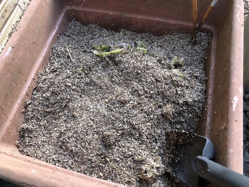 f:id:sk6960:20211011085640j:plain