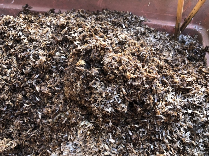 f:id:sk6960:20211011085644j:plain