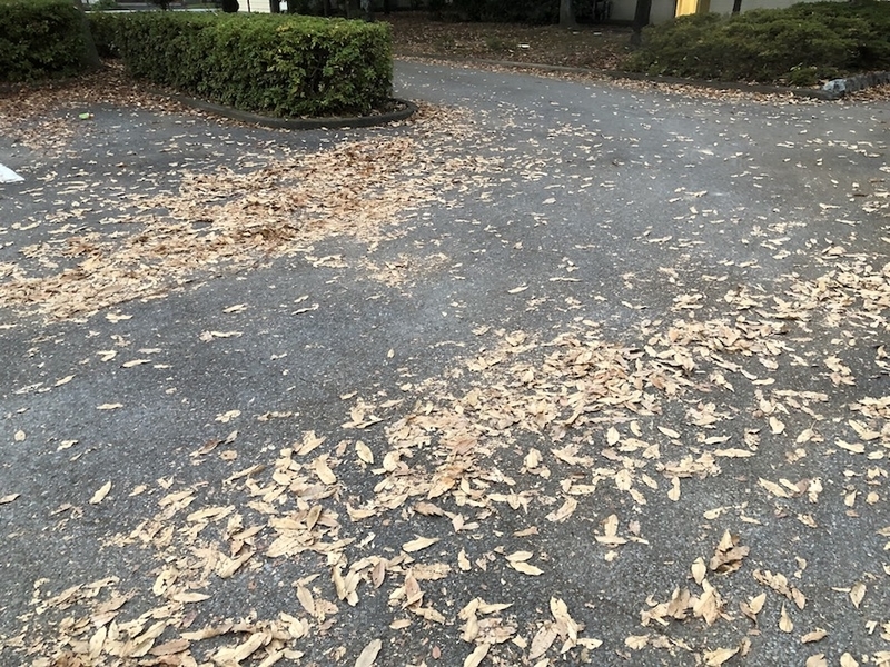 f:id:sk6960:20211118074625j:plain