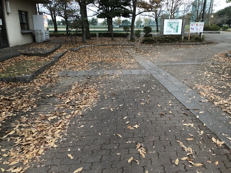 f:id:sk6960:20211118074628j:plain