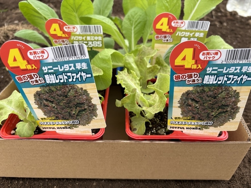 苗ページです！ 苗を調達してきました。これで全て出揃いました - 自称週末