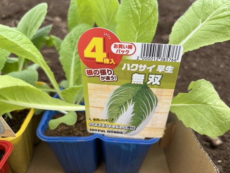 苗ページです！ 苗を調達してきました。これで全て出揃いました - 自称週末