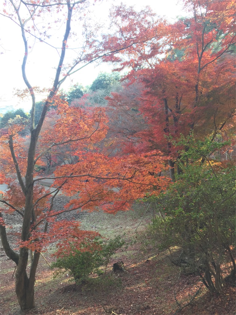 f:id:sk_1111:20161210194700j:image f:id:sk_1111:20161210194700j:image