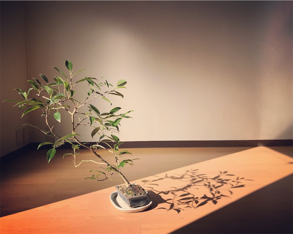 f:id:skafuka:20190208221948j:image f:id:skafuka:20190208221948j:image