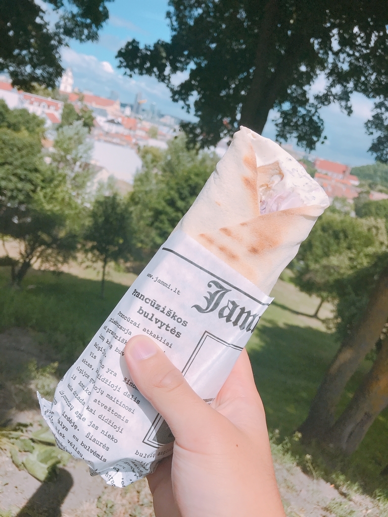 f:id:skafuka:20190223221634j:plain f:id:skafuka:20190223221634j:plain