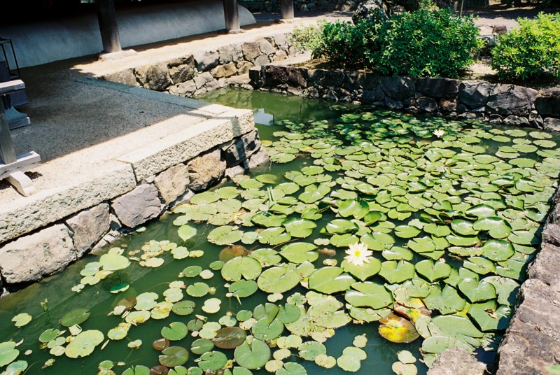 f:id:skandtny:20090421204811j:image:w400 f:id:skandtny:20090421204811j:image:w400