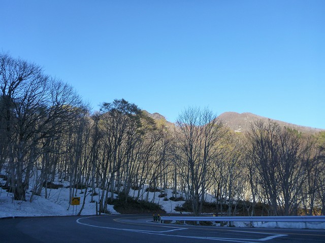 イメージ 7