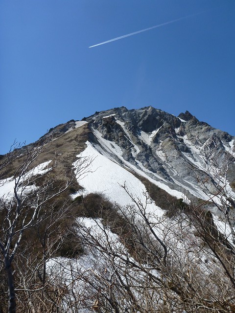 イメージ 6