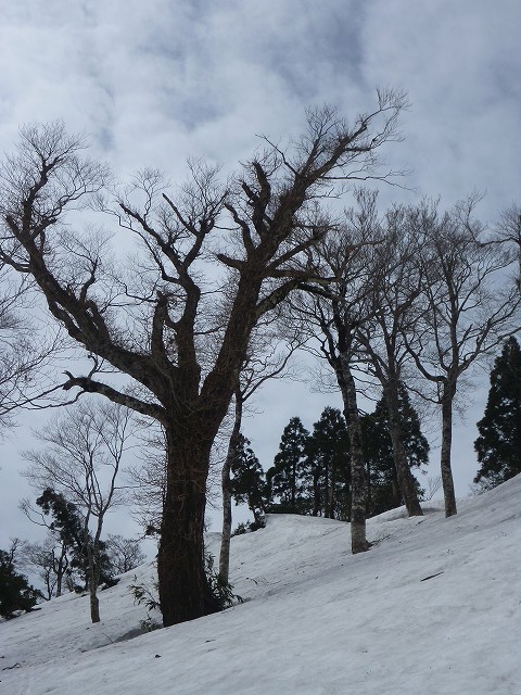 イメージ 19