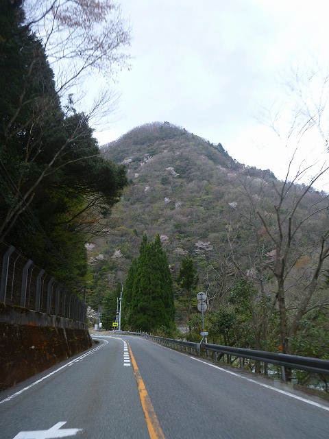 イメージ 28
