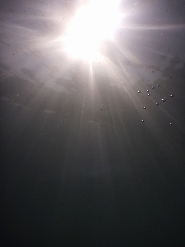 f:id:skihakuba2drnobo:20191101212032j:plain f:id:skihakuba2drnobo:20191101212032j:plain