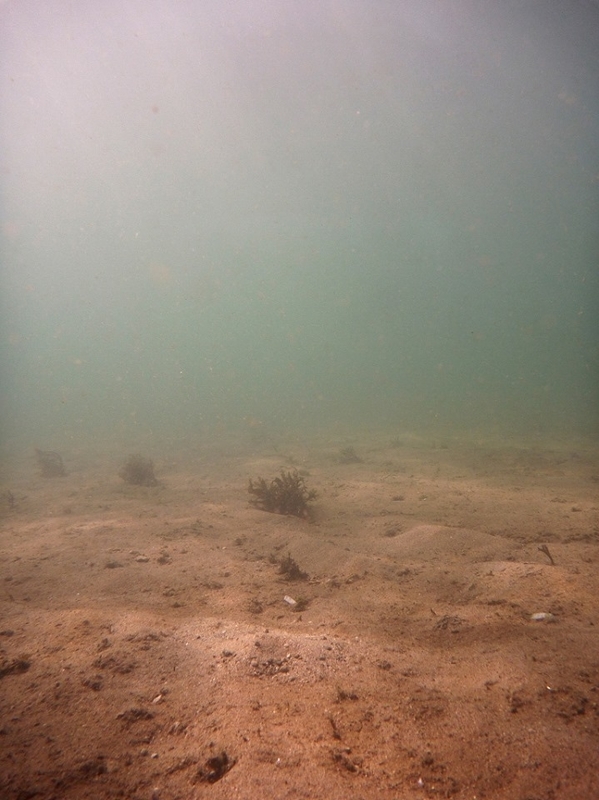 f:id:skihakuba2drnobo:20191101212103j:plain f:id:skihakuba2drnobo:20191101212103j:plain