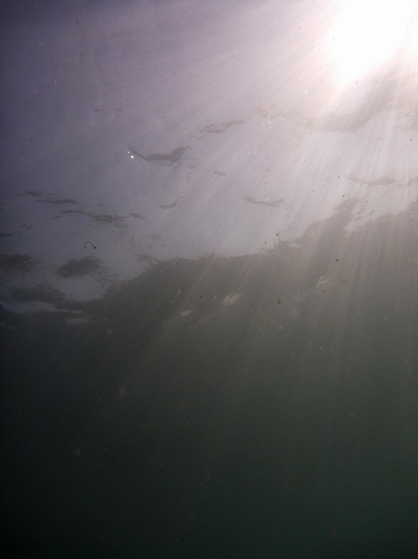 f:id:skihakuba2drnobo:20191101212114j:plain f:id:skihakuba2drnobo:20191101212114j:plain