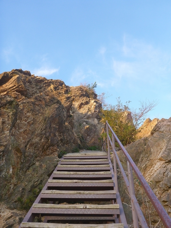 f:id:skihakuba2drnobo:20191102124823j:plain f:id:skihakuba2drnobo:20191102124823j:plain