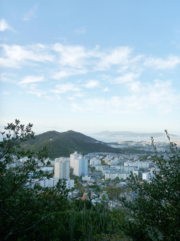f:id:skihakuba2drnobo:20191102124830j:plain f:id:skihakuba2drnobo:20191102124830j:plain