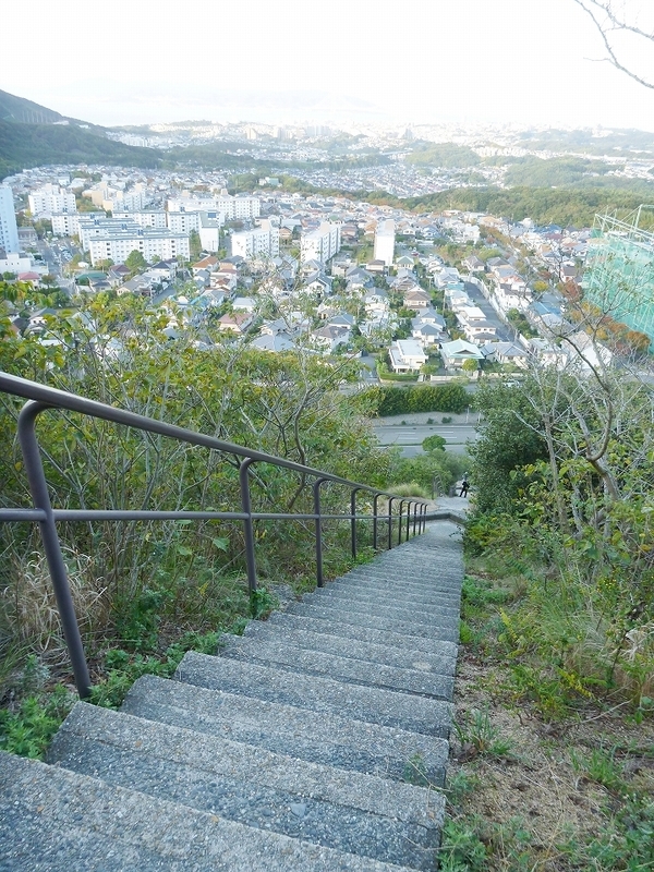 f:id:skihakuba2drnobo:20191102124835j:plain f:id:skihakuba2drnobo:20191102124835j:plain