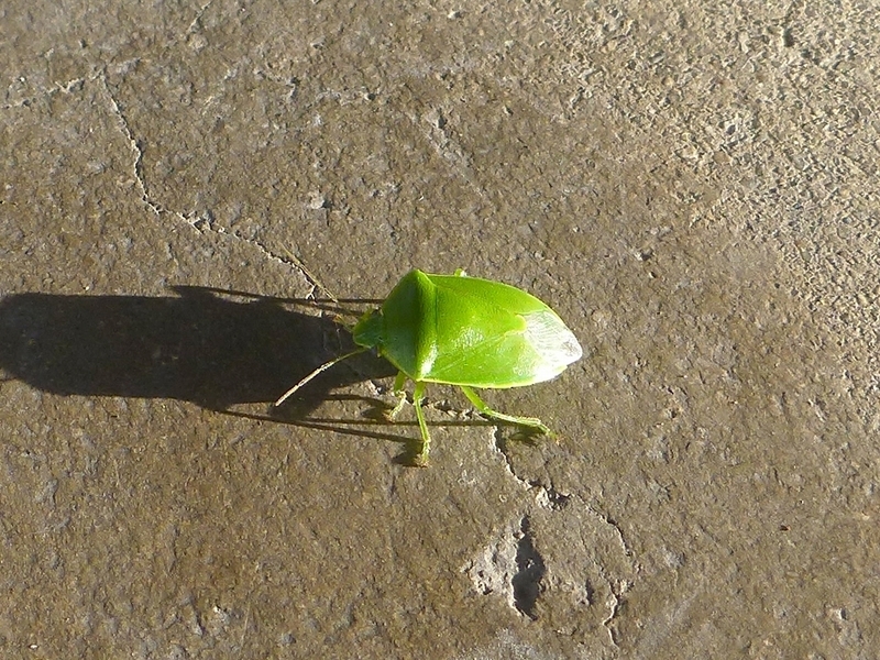 f:id:skihakuba2drnobo:20191102124839j:plain f:id:skihakuba2drnobo:20191102124839j:plain