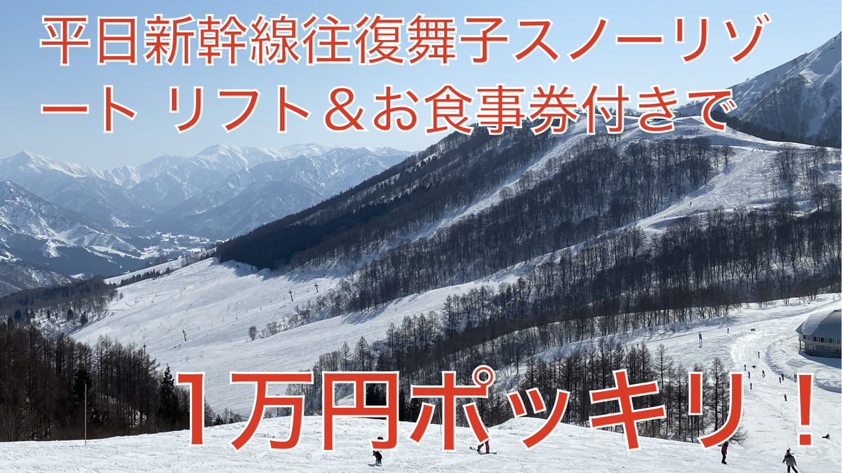 f:id:skiingsyndrome:20210223150933j:plain