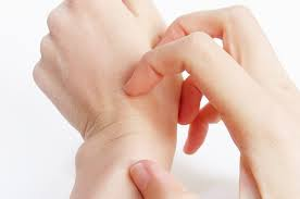 f:id:skinchange:20210222103813p:plain
