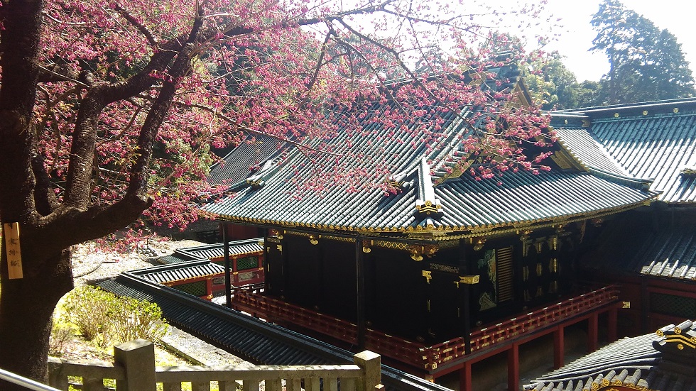 f:id:skinerrian:20180314124834j:plain