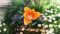 20150116200256