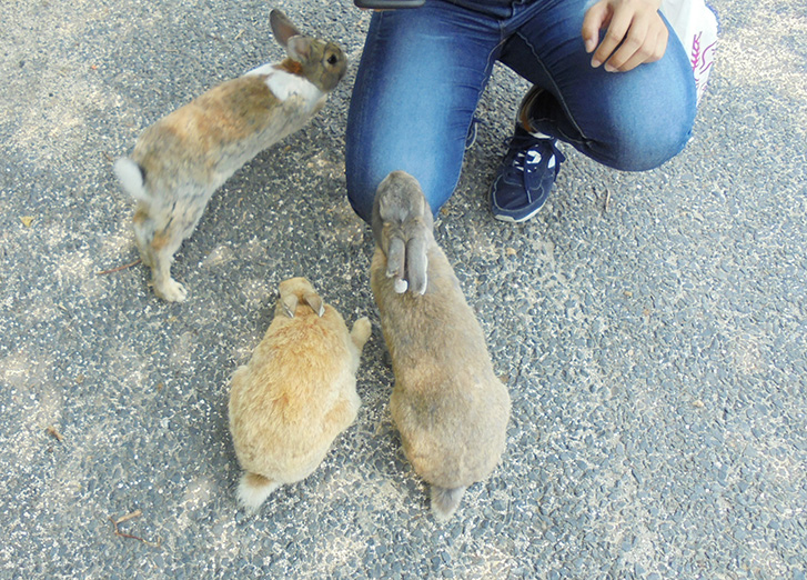 f:id:skisan:20190624172253j:plain f:id:skisan:20190624172253j:plain