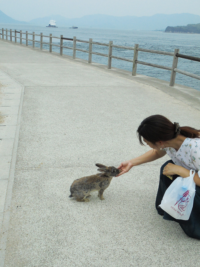 f:id:skisan:20190624173432j:plain f:id:skisan:20190624173432j:plain