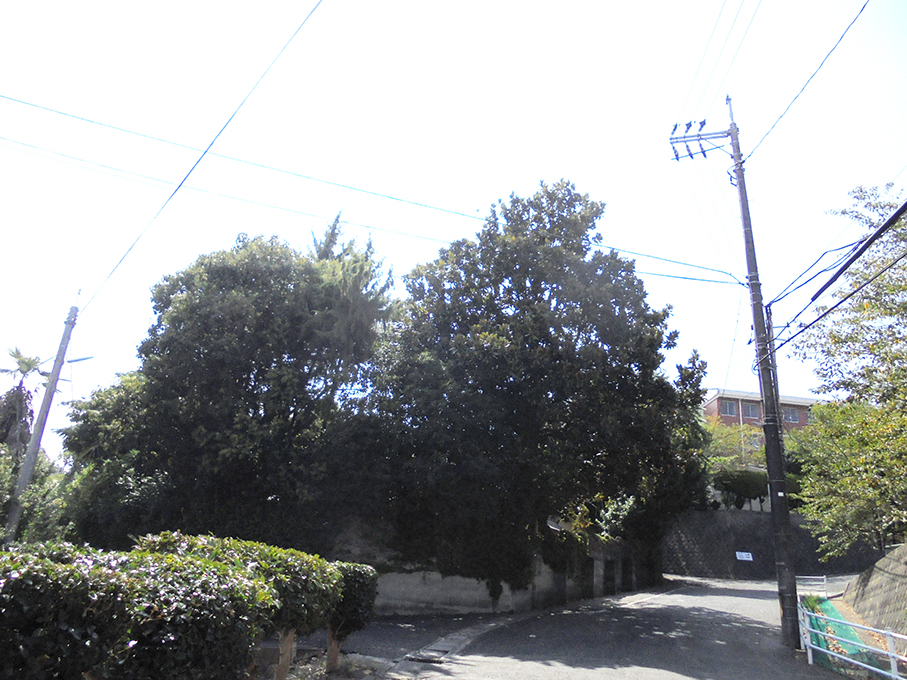 f:id:skisan:20201028121205j:plain f:id:skisan:20201028121205j:plain