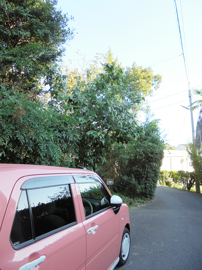 f:id:skisan:20201028121514j:plain f:id:skisan:20201028121514j:plain