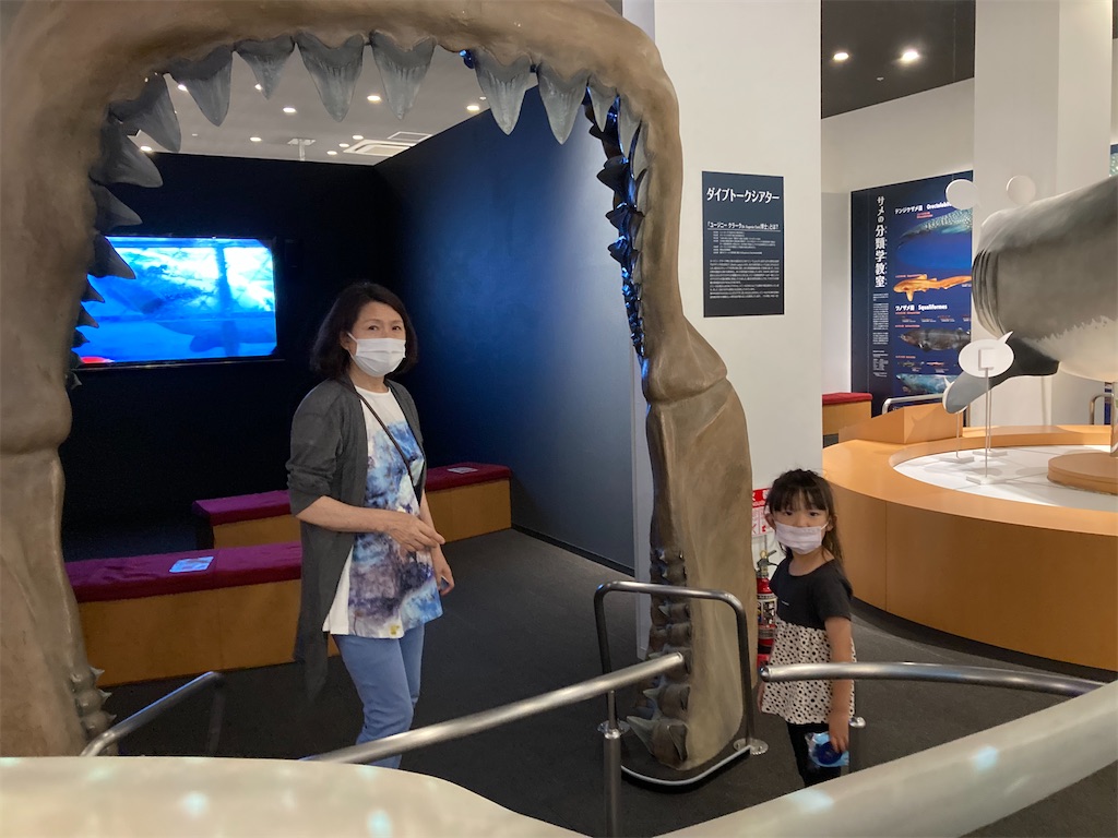 f:id:skitazawa:20210710064020j:image f:id:skitazawa:20210710064020j:image