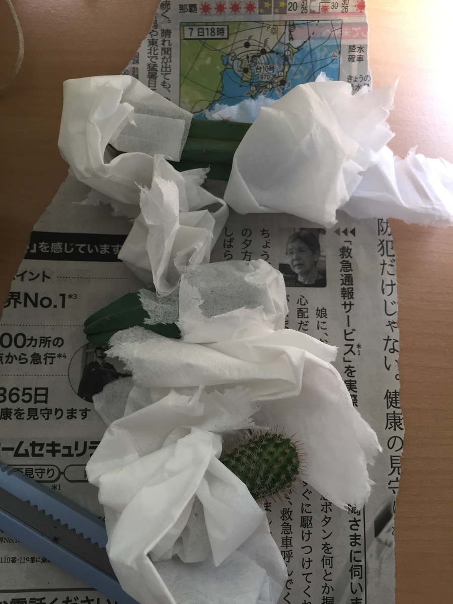 f:id:skkb:20201008173547j:plain
