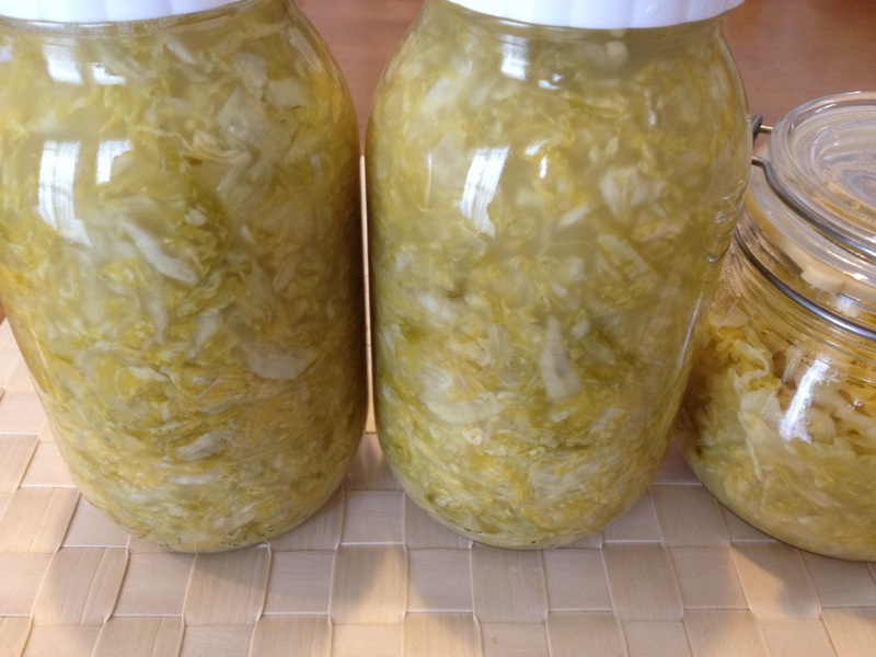 植物性乳酸菌たっぷりの ザワークラウト を自作する 煩悩退散 植物性乳酸菌たっぷりの ザワークラウト を自作する 煩悩退散