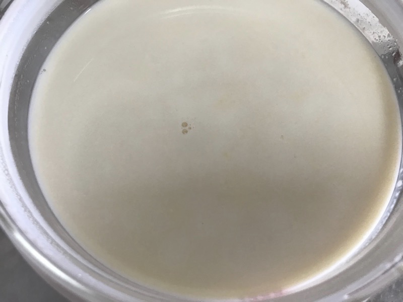 豆乳ヨーグルト自作 豆乳カスピ海ヨーグルトの植え継ぎをしてみましたが失敗でした 煩悩退散