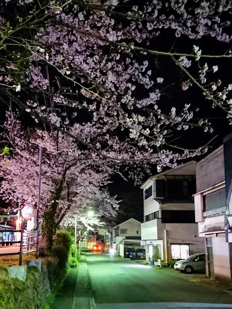 f:id:skm_B:20180414182049j:plain