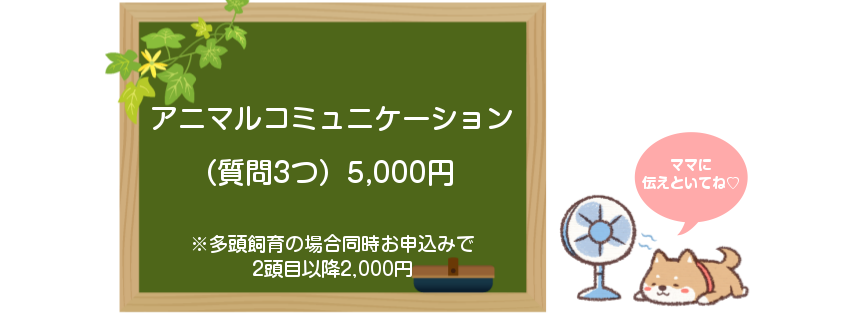 f:id:skmn4747:20180814133040p:plain f:id:skmn4747:20180814133040p:plain