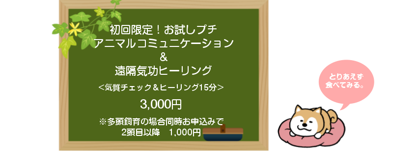 f:id:skmn4747:20180909222410p:plain f:id:skmn4747:20180909222410p:plain