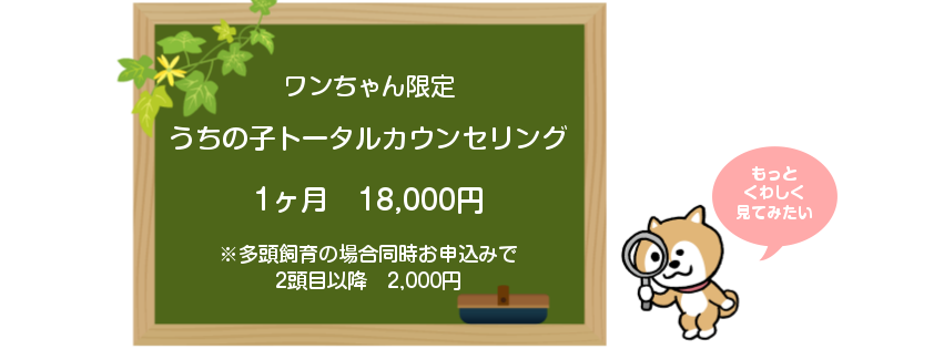 f:id:skmn4747:20180909231208p:plain f:id:skmn4747:20180909231208p:plain