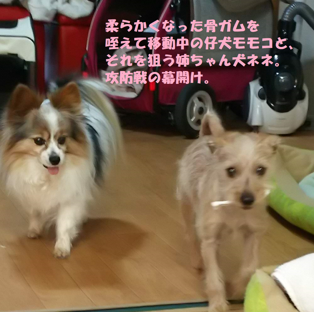 f:id:skmn4747:20190226203013p:plain f:id:skmn4747:20190226203013p:plain