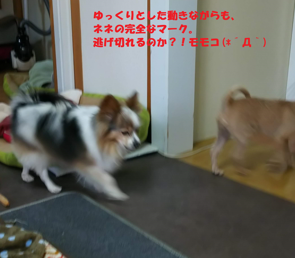f:id:skmn4747:20190226203048p:plain f:id:skmn4747:20190226203048p:plain