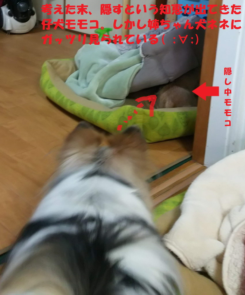 f:id:skmn4747:20190226203204p:plain f:id:skmn4747:20190226203204p:plain