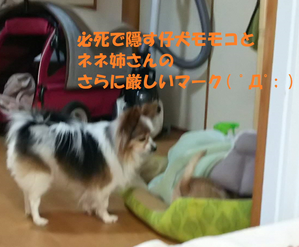 f:id:skmn4747:20190226203241p:plain f:id:skmn4747:20190226203241p:plain